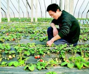 黑龍江名人排行榜 張金鑄是黑龍江著名企業(yè)家