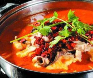 四川魚火鍋十大品牌 藤椒魚火鍋鮮而不腥回味悠長(zhǎng)