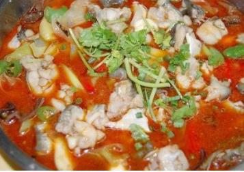 四川魚火鍋十大品牌 藤椒魚火鍋鮮而不腥回味悠長(zhǎng)