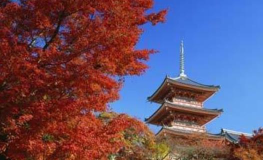 日本嵐山楓葉幾月看 京都嵐山游覽最佳時間