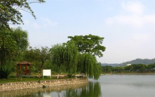 全國十大最美校園湖泊排名 北大的未名湖美如畫