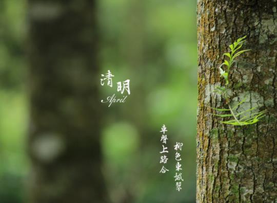 南京清明節(jié)上墳怎么預約?2022清明南京還有櫻花嗎