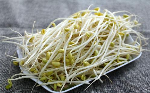 綠豆芽.jpg