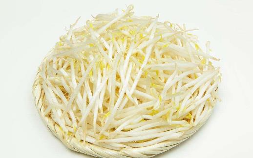 綠豆芽2.jpg