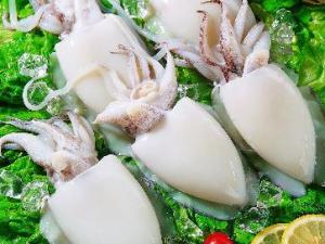 吃墨魚有什么好處？墨魚的營養價值