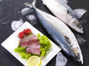 什么人適合吃鲅魚？鲅魚的營養價值