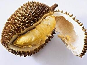 吃榴蓮有什么好處？榴蓮的功效與作用