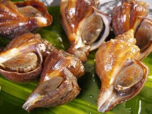 海螺的營養價值-海螺的食療作用