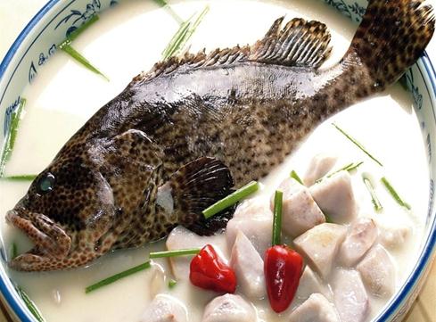 石斑魚的營養價值-石斑魚的食療作用-石斑魚燉芋艿