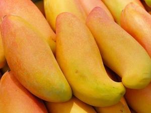 芒果的營(yíng)養(yǎng)價(jià)值、功效與作用、食用禁忌