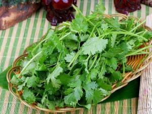 香菜怎么吃？香菜的營養價值、功效與作用