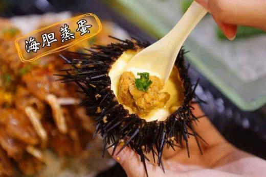 海膽的營養價值-海膽的種類有哪些?