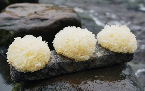 吃銀耳有什么好處?銀耳的營養價值和食療功效