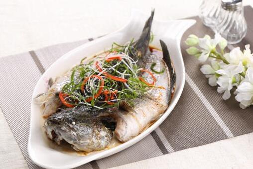 鱸魚是淡水魚還是海魚?吃鱸魚的禁忌有哪些?鱸魚多少錢一斤?