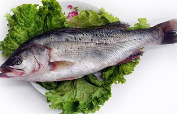 鱸魚是淡水魚還是海魚?吃鱸魚的禁忌有哪些?鱸魚多少錢一斤?