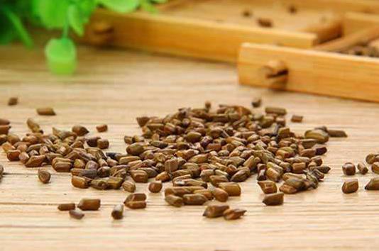決明子茶可以長期喝嗎?決明子茶有哪些功效?
