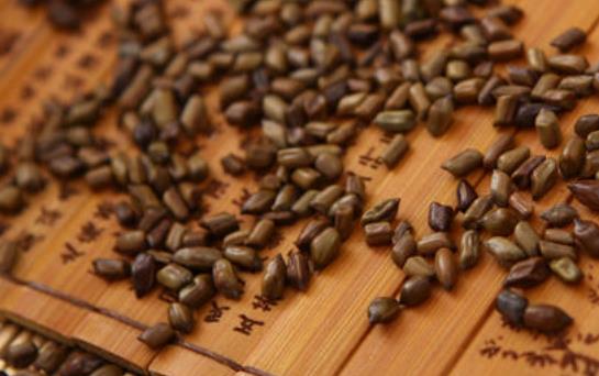 決明子茶可以長期喝嗎?決明子茶有哪些功效?
