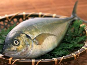如何挑選新鮮的魚？挑選新鮮魚的方法