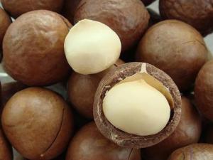 夏威夷果怎么開？吃夏威果的注意事項
