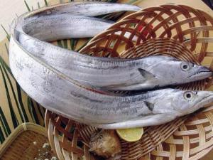 如何挑選帶魚？怎樣辨別帶魚的好壞