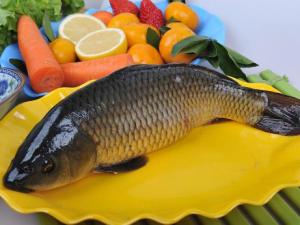 如何烹飪鯉魚？鯉魚怎么做好吃