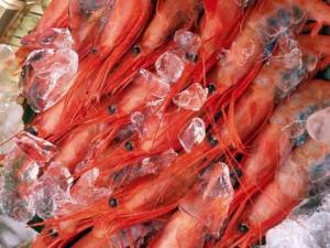如何選購冷凍食品？食品冷凍別超過兩個月