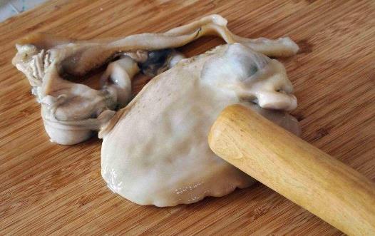 用搟面棒敲松河蚌.jpg
