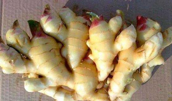 生姜發芽了能吃嗎?生姜的作用及功效