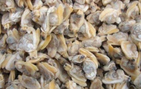 冷凍食品解凍到什么程度可以加工?冷凍食品為什么不能用熱水解凍?