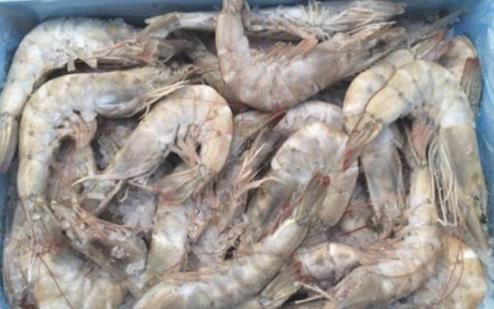 冷凍食品解凍到什么程度可以加工?冷凍食品為什么不能用熱水解凍?