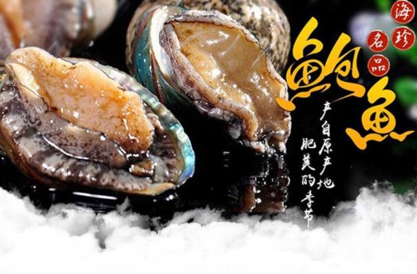 鮑魚的清洗方法是什么 鮑魚如何挑選及保存 鮑魚的營(yíng)養(yǎng)價(jià)值