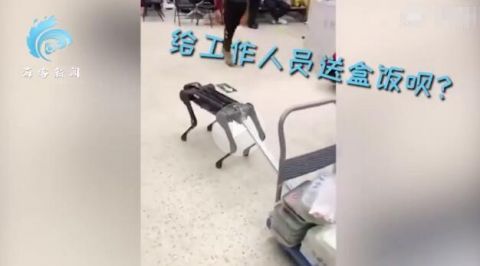 春晚后臺是怎么送盒飯的 春晚機器牛臺上酷炫表演臺下拉車送盒飯