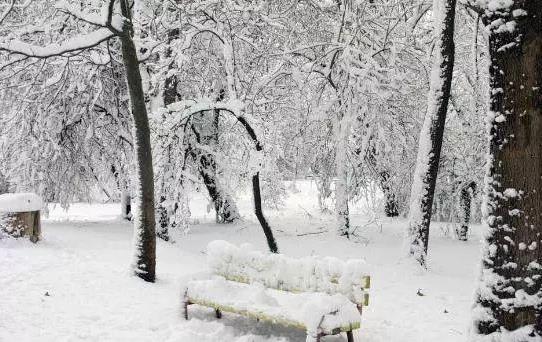 正月打雷下雪是什么征兆?正月打冬雷必有大事發生嗎?
