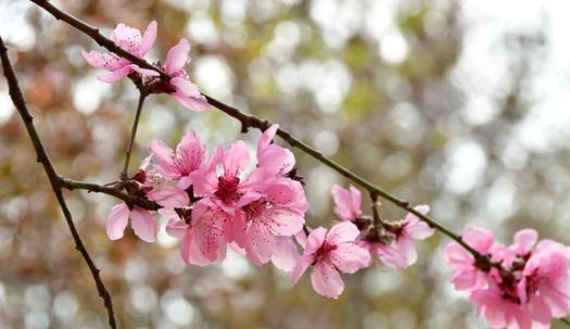 夏天是幾月到幾月 2021年全國高溫補(bǔ)貼是哪幾個月