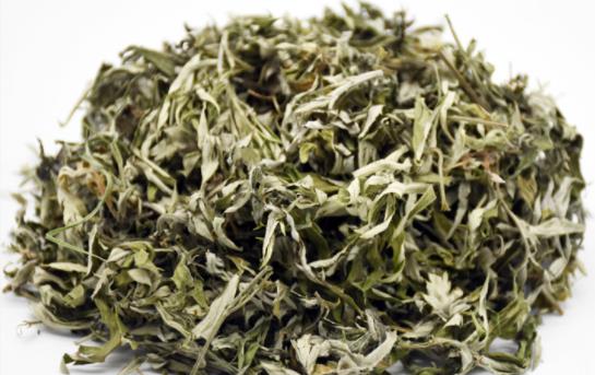 兒童艾草泡澡正確方法 小孩艾葉洗澡的禁忌