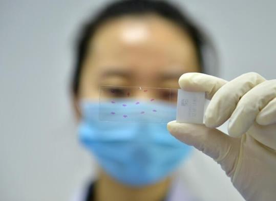 大人小孩都要做核酸檢測嗎?家里一個人做了核酸檢測其他人還要做嗎