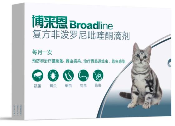 貓咪拉肚子,警惕可怕的寄生蟲