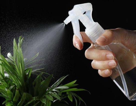 什么花可以用涼開水澆?黃豆水澆花是不是什么花都可以澆
