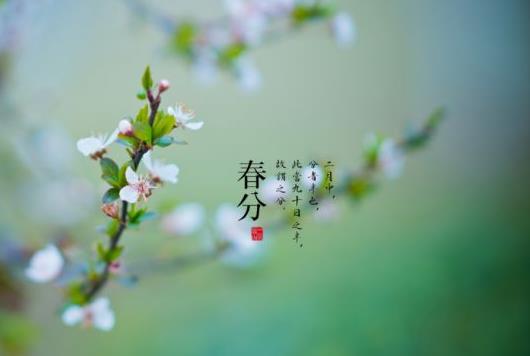 2021年春分為什么要放風(fēng)箏?2021年春分節(jié)氣能遷墳嗎