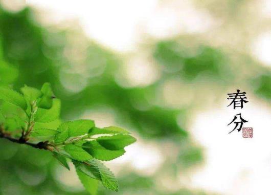 2021年春分為什么要放風(fēng)箏?2021年春分節(jié)氣能遷墳嗎
