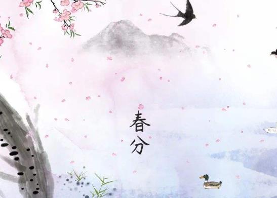 春分立雞蛋有什么說法?春分雞蛋為什么能立起來