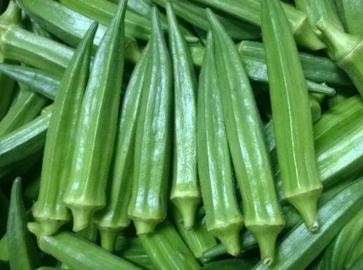 秋葵不開花結果的原因有哪些?秋葵葉子發黃是缺水嗎