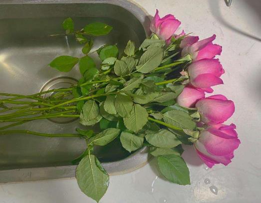 醒花的時候要不要放保鮮劑?醒花用深水還是淺水