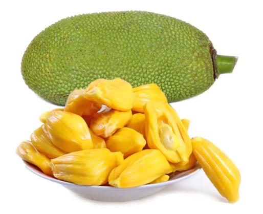 菠蘿蜜種子用水泡幾天能發(fā)芽?盆栽菠蘿蜜什么時候結(jié)果