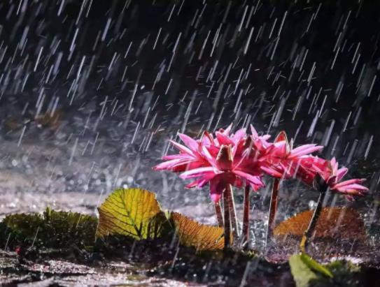 蘇州的梅雨季節是幾月份到幾月份?蘇州梅雨季節在什么時候