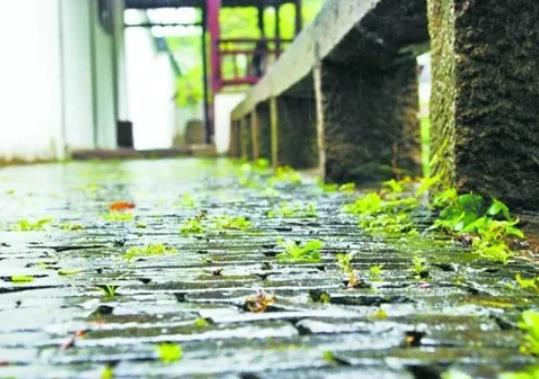 蘇州的梅雨季節是幾月份到幾月份?蘇州梅雨季節在什么時候