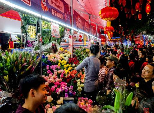 廣州春節花市有哪些花?廣州的花市是什么樣子的圖片