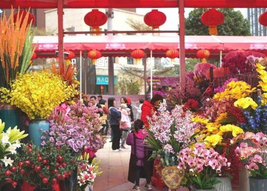 廣州春節花市有哪些花?廣州的花市是什么樣子的圖片