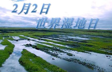 2月2日是什么節日?世界濕地日是幾月幾日