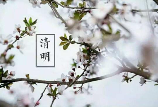 2022年清明立碑還是三周年立碑?清明節(jié)掃墓是不是要分長幼